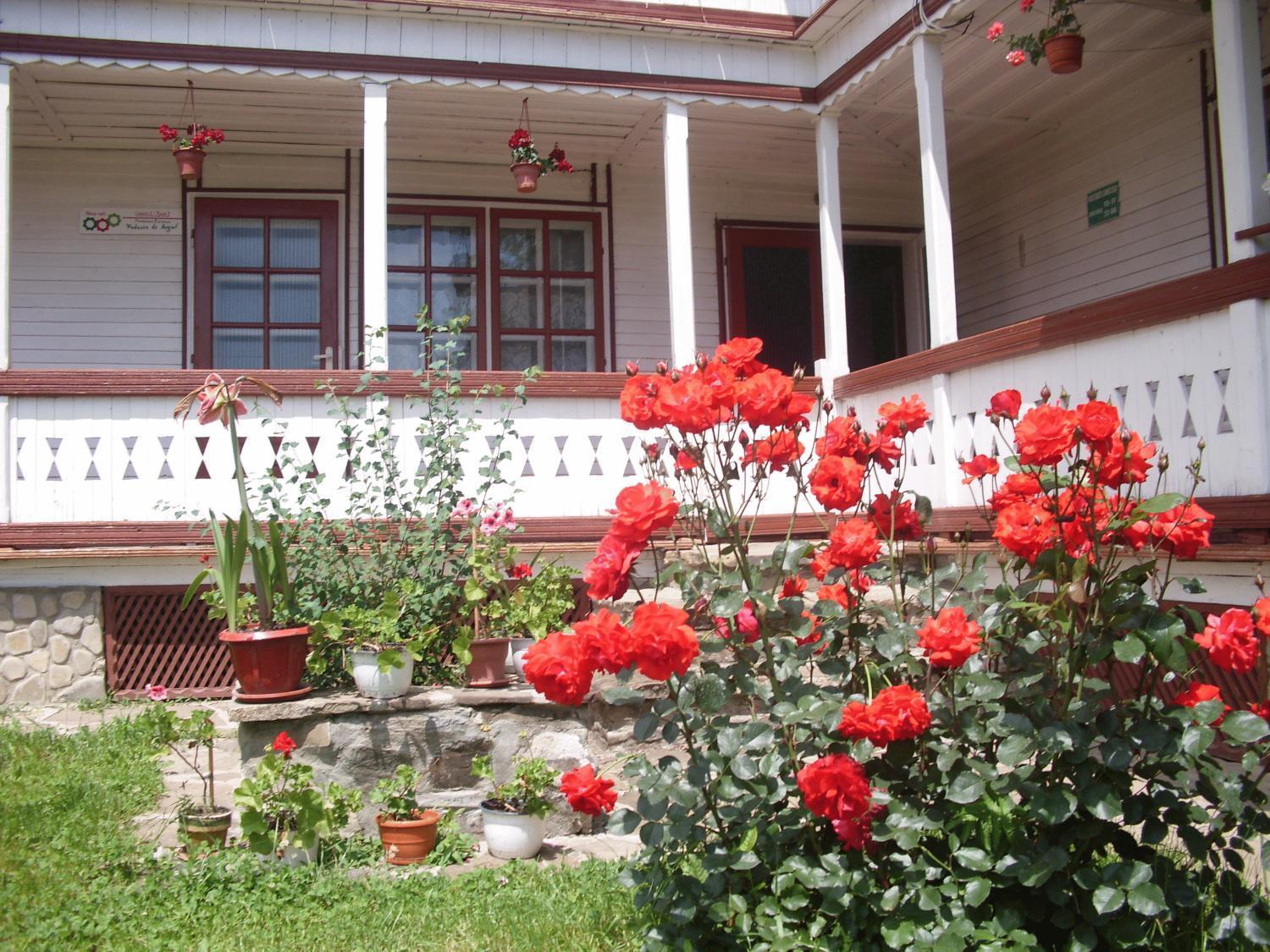 Padurea De Argint Villa Varatec Exterior photo